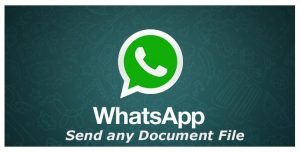 Ingin Mengirim File Gambar Hi-Res di WhatsApp, Gunakan Cara Ini