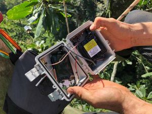 Huawei Gandeng Rainforest Connection, Lindungi Hutan via Teknologi