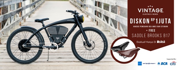 Online Store Vintage Electric Bikes