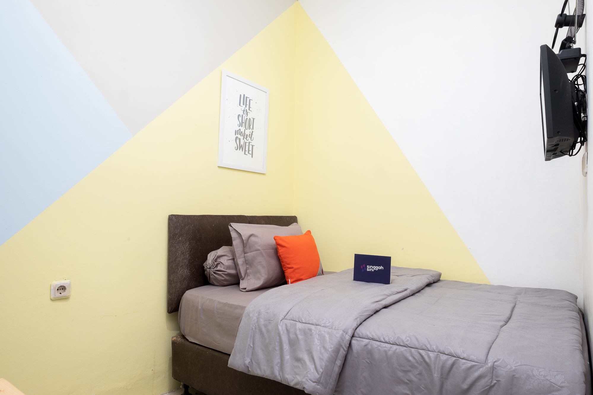 cotton Candy mamikos