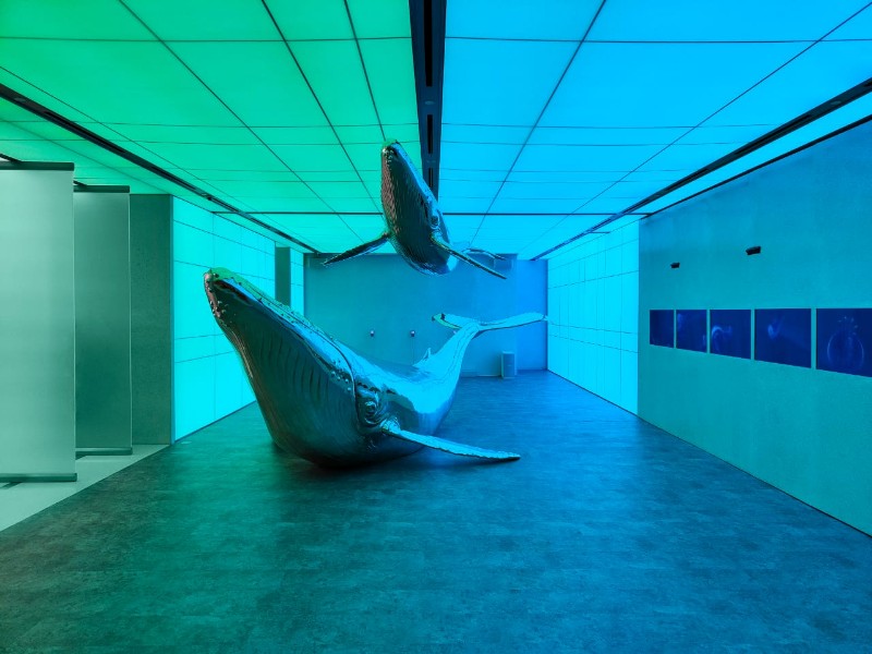 OPPO Gallery Hadir dengan Konsep Baru â€˜Find Deeperâ€™