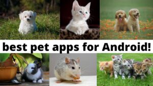 7 Aplikasi Android Terbaik untuk Hewan Peliharaan