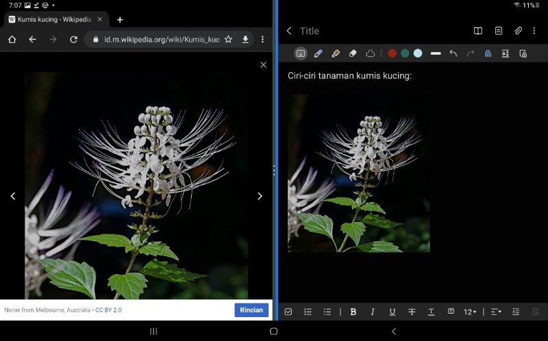 Lima Cara untuk Dorong Anak Suka Belajar