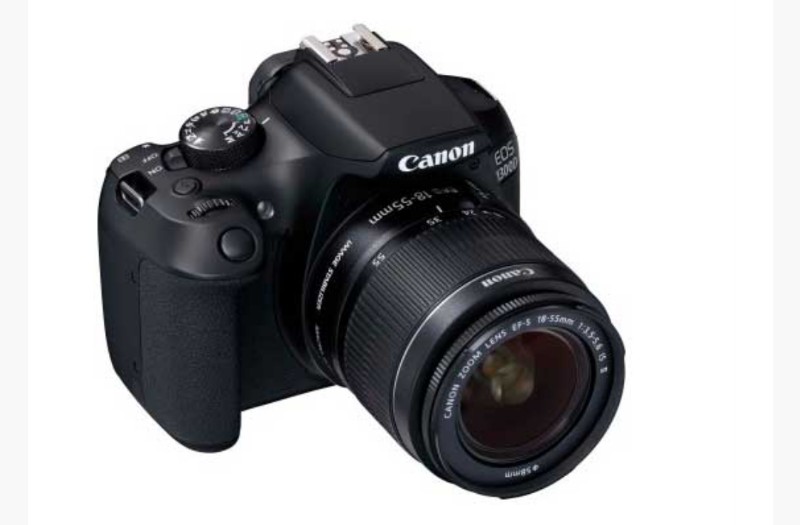 Beberapa Rekomendasi Kamera Canon Murah Untuk Pemula, Intip Yuk!