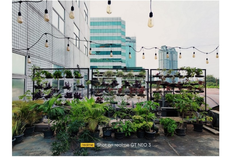 Intip Hasil Kamera realme GT NEO 3 dan realme GT NEO 3T