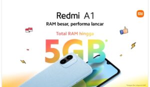 Seberapa Penting Fitur Ekspansi RAM Untuk Smartphone Entry-Level?