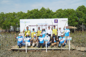 Blibli x Djarum Foundation Tanam 3.000 BibitÂ MangroveÂ Sejati