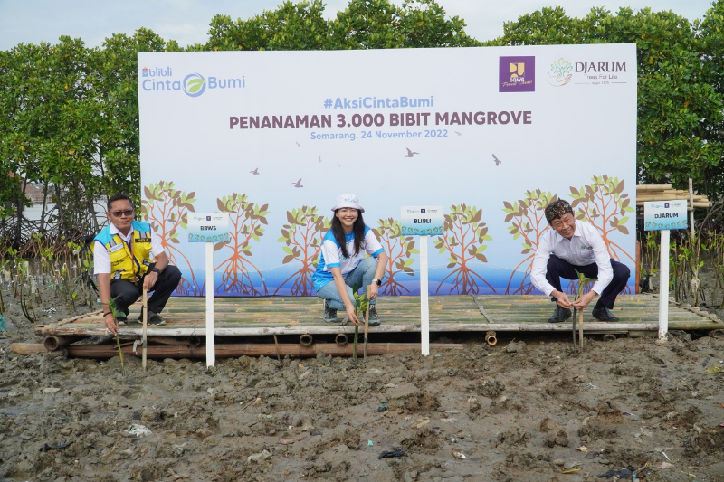 Blibli x Djarum Foundation Tanam 3.000 Bibit Mangrove Sejati