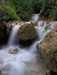 Performa Maksimal Kamera POCO M5 Buat Para POCO Fans Puas Banget!