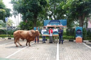 Telkomsel Salurkan 720 Hewan Kurban untuk #NyalakanKebersamaan Iduladha 1444 H