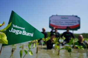 Telkomsel dan Jejak.in Kolaborasi Tanam 15.060 Pohon Mangrove dalam Program Telkomsel Jaga Bumi