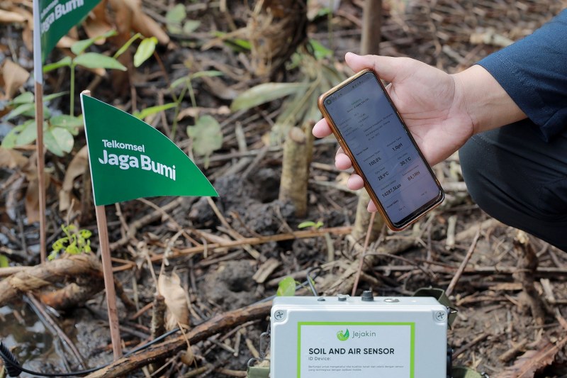 Telkomsel dan Jejak.in Kolaborasi Tanam 15.060 Pohon Mangrove dalam Program Telkomsel Jaga Bumi