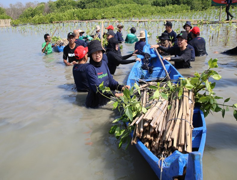 Telkomsel dan Jejak.in Kolaborasi Tanam 15.060 Pohon Mangrove dalam Program Telkomsel Jaga Bumi