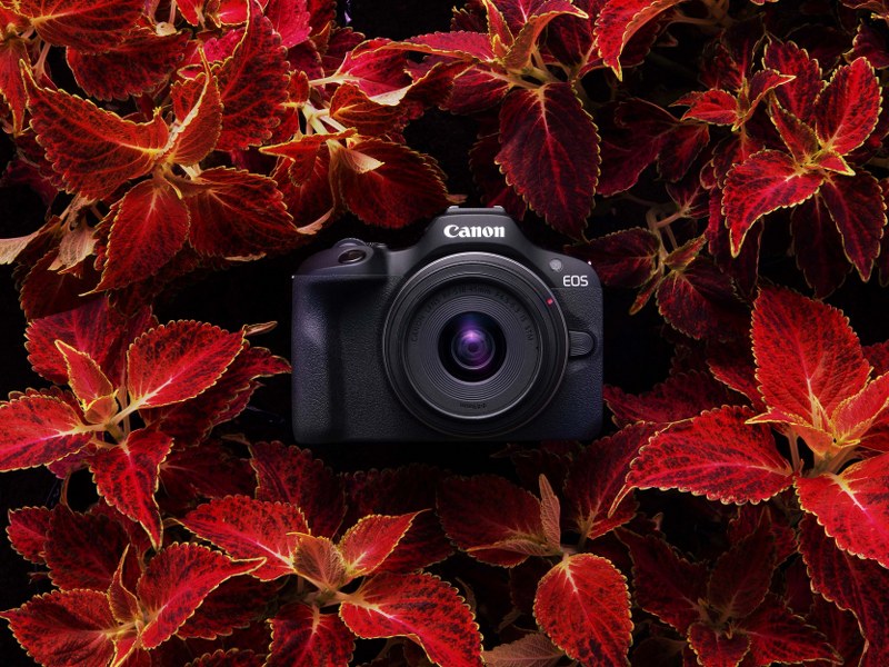 Canon EOS R100, Kamera Andalan dengan Harga Terjangkau untuk Pemula