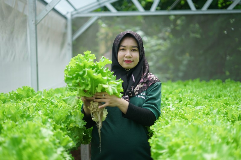 Sharp Hydro Heroes Cetak Petani Muda Berkelanjutan