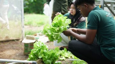 Sharp Hydro Heroes Cetak Petani Muda Berkelanjutan