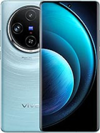 Vivo X100 Standard Edition