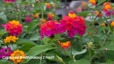 Galaxy Z Fold7: HP Lipat dengan Kamera 200MP Super Tajam
