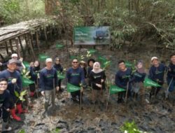 Telkomsel Jaga Bumi Carbon Offset Fase 3