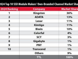 Kingston Tunjukkan Dominasi Pasar SSD di 2024