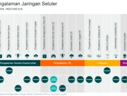 Laporan Pengalaman Jaringan Seluler Indonesia
