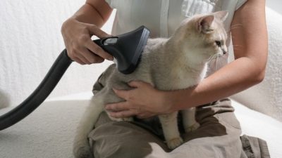 Acerpure Clean V2 Resmi Hadir di Indonesia: Cordless Vacuum Cleaner Praktis