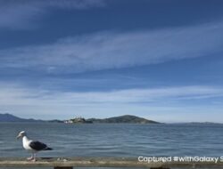 Samsung Galaxy S26 Series Bawa Kamera Lebih Canggih untuk Traveling
