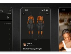 Strava Hadirkan Fitur Lengkap dengan Log Latihan dan Peta Otot
