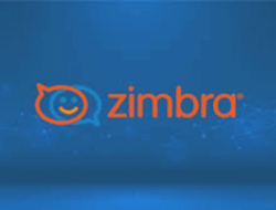 Zimbra: Bisnis Indonesia Dapat Mengalihdayakan Teknologi, Tetapi Bukan Tanggung Jawabnya